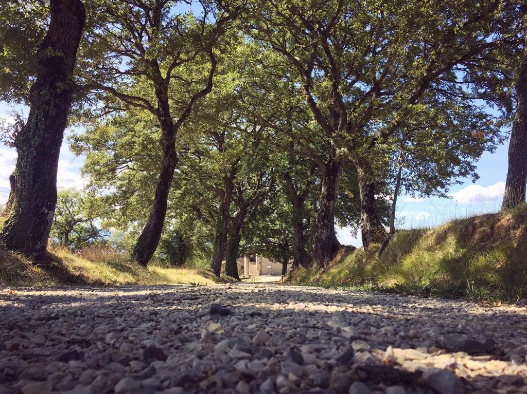 Agriturismo Ipoderi Кьянчано-Терме Экстерьер фото